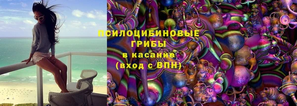 спайс Лагань